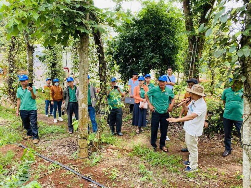 Buon Ma Thuot: Bean to Brew Coffee Farm Tour with Tasting - FAQ