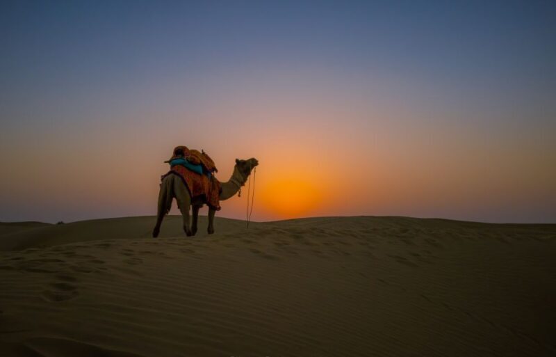 Buoyant Luxurious Overnight Thar Desert Camping Tour - FAQ
