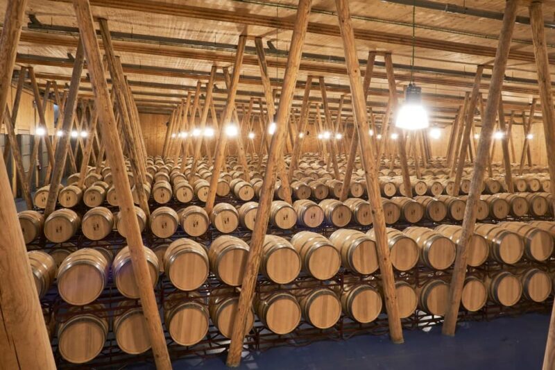 Burgos: Bela Winery - Villalba de Duero - Practical Tips for Visiting Bela Winery