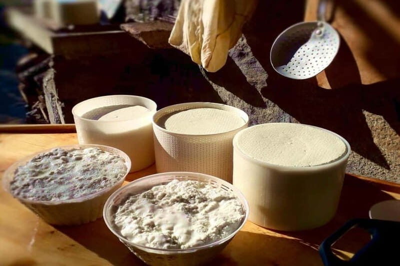 Burgos: Sardinian Pecorino Cheese Workshop - Burgos: Sardinian Pecorino Cheese Workshop – A Deep Dive into Island Flavors