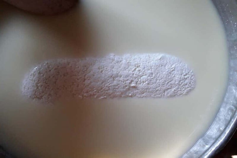 Burgos: Sardinian Pecorino Cheese Workshop - Who Will Love This Experience?