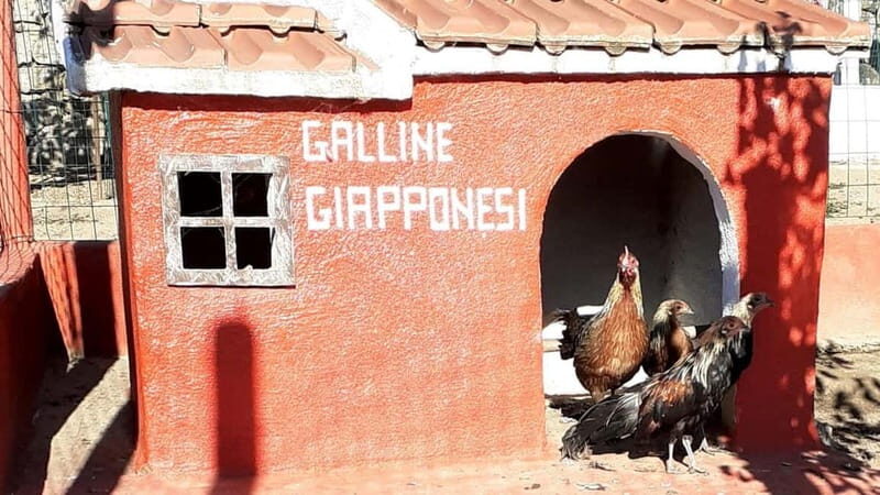 Burgos: visit to a farm with tasting - Who Should Consider This Tour?