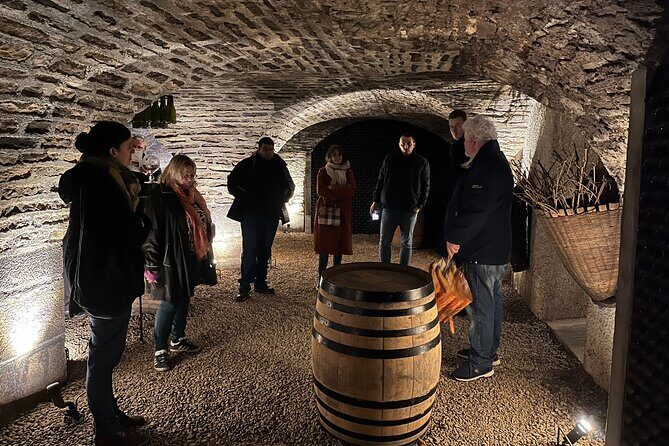 Burgundy Grand Crus Route Day Tour - 14 Wines Tastings in Domains - Exploring Burgundy on a Day Tour