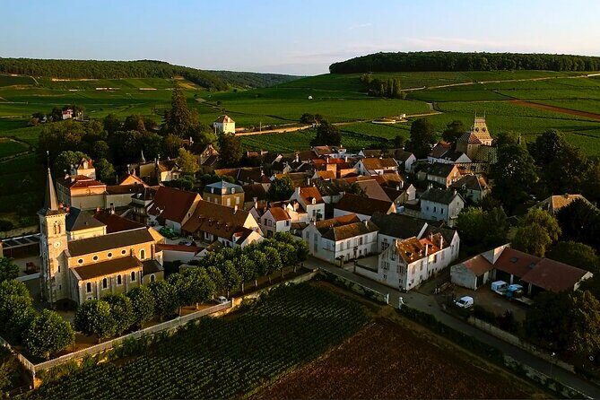 Burgundy Grand Crus Route Day Tour - 14 Wines Tastings in Domains - The Value of the Tour