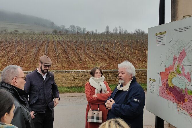 Burgundy Grand Crus Route Day Tour - 14 Wines Tastings in Domains - Who Should Consider This Tour?