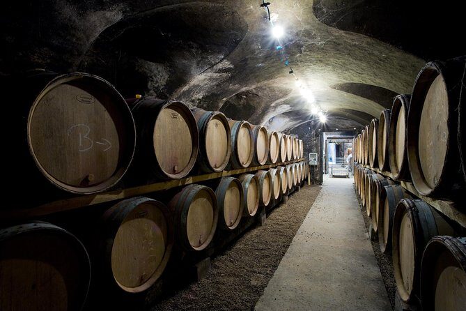 BURGUNDY : Unique Wine Tour from PARIS (Day-trip by TGV - High-speed train) - A Deep Dive into the Burgundy Day Trip