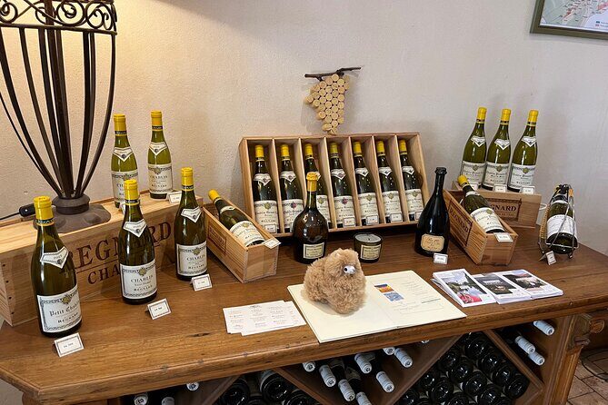 Burgundy Wine & Cheese Tasting Private Day Trip 15 glasses - Key Points