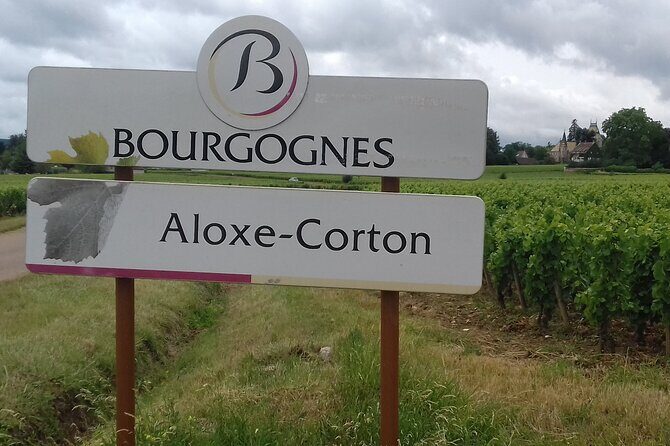 Burgundy Wine Lovers Day Tour with Private Driver - Exploring Burgundy with a Private Driver: A Detailed Review