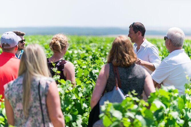 Burgundy Wine Tasting Small-Group Tour in Chablis from Paris - Key Points