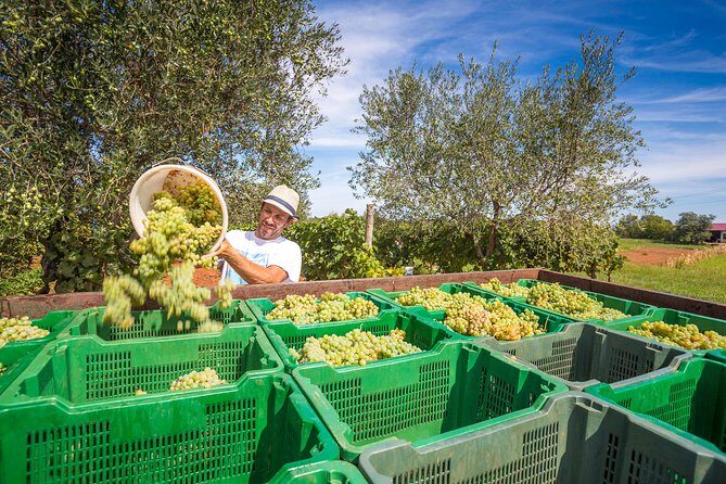 Burgundy Wine Tasting Small-Group Tour in Chablis from Paris - Who Should Book This Tour?