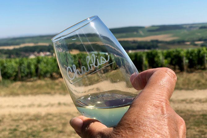 Burgundy Wine Tasting Small-Group Tour in Chablis from Paris - Final Thoughts