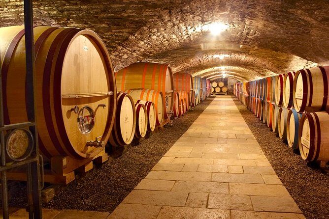 Burgundy wine trail from Beaune to Macon - Authentic Experiences and Practical Insights