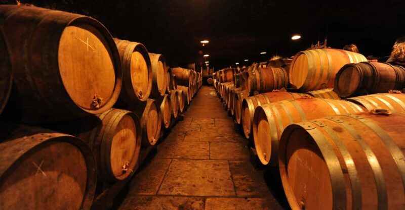 Burgundy Wines Full-Day Tasting Tour from Dijon - Burgundy Wines Full-Day Tasting Tour from Dijon: A Deep Dive into Frances Wine Heartland