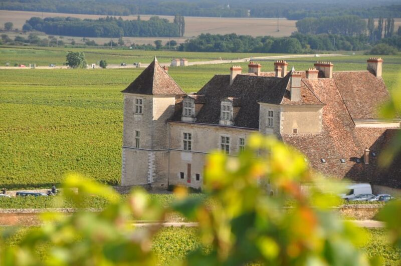 Burgundy Wines Full-Day Tasting Tour from Dijon - Key Points