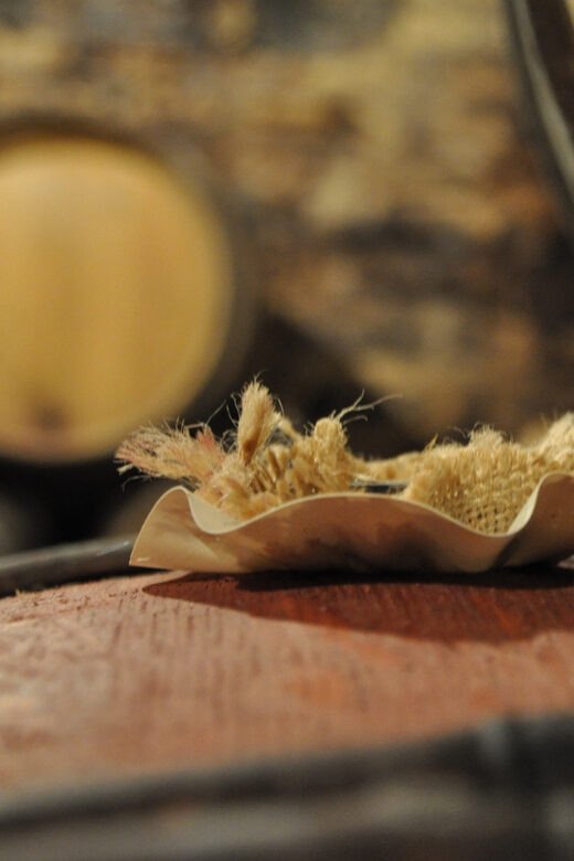 Burgundy Wines Full-Day Tasting Tour from Dijon - Who Will Love This Tour?