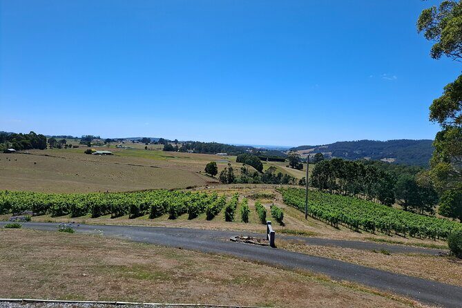 Burnie Shore Excursion: Tasting Trail Tour - An In-Depth Look at the Tasting Trail Tour