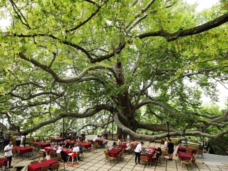 Bursa Full Day Sightseeing Tour from Istanbul - FAQ About the Bursa Full Day Sightseeing Tour