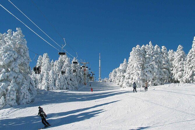 Bursa Tour from Istanbul Included Lunch & Cable Car - An In-Depth Look at the Bursa Day Trip