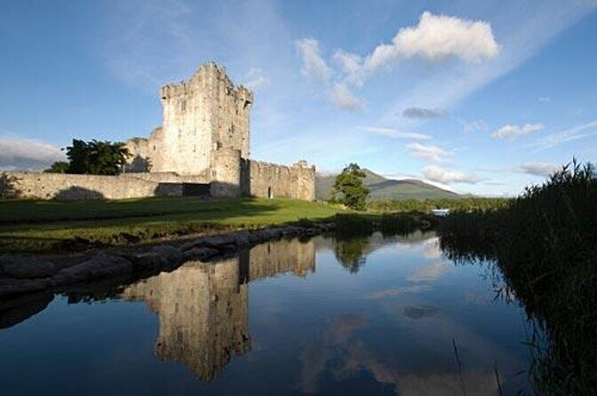 Bus & Boat Tour - Exploring the Scenic Heart of Killarney