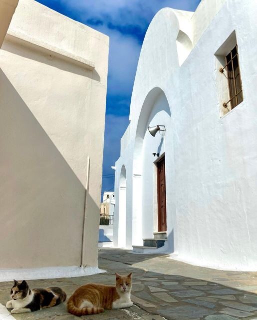 Bus Tour Around the island of Naxos - A Closer Look at Naxos’s Highlights