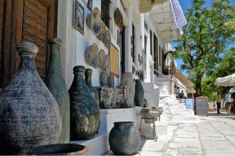 Bus Tour Around the island of Naxos - Practical Insights and Tips