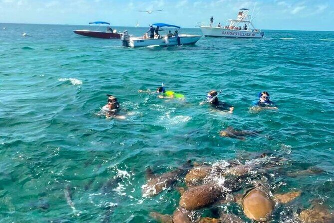 Bus transfer from Flores, Guatemala to Belize City - The Vehicle and Group Experience