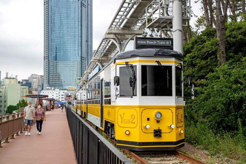 Busan: Busan 9 Highlights Tour - The Starting Point: Ease of Access and Comfort