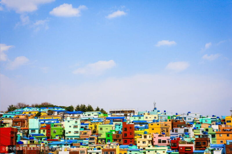 Busan: Busan 9 Highlights Tour - Savoring Local Flavors: Jagalchi Market and BIFF Square