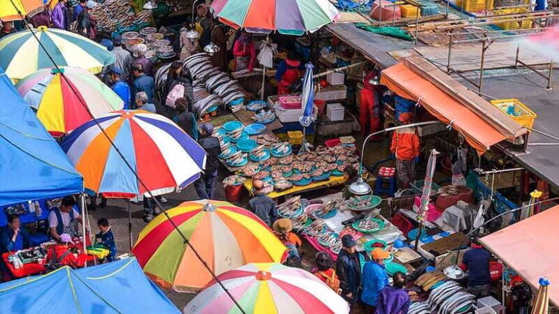 Busan: Busan 9 Highlights Tour - Overall Value and Experience