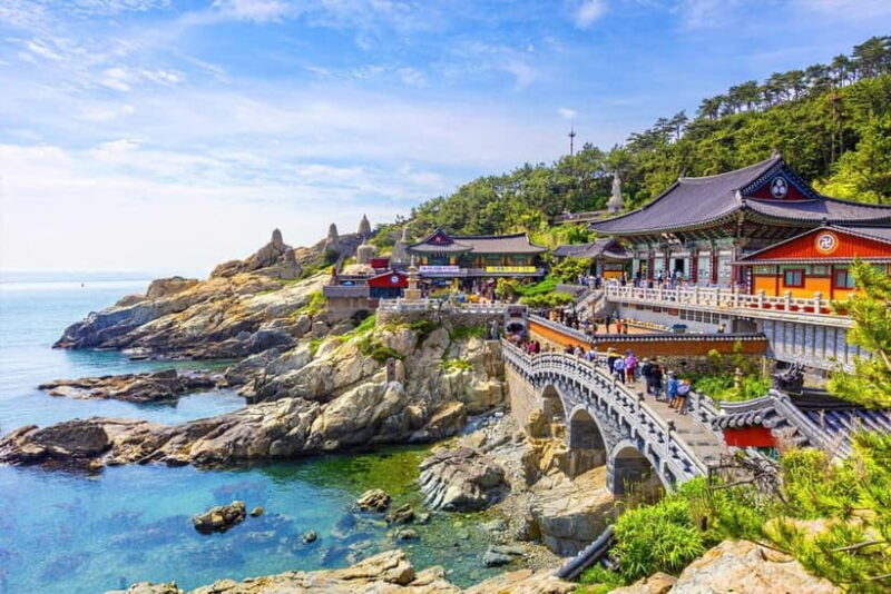 Busan: Customized Private Car Charter Tour - Busan: Customized Private Car Charter Tour – A Practical Guide for Curious Travelers