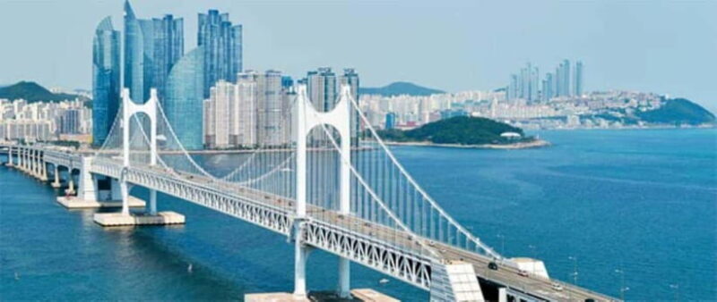 Busan: Customized Private Car Charter Tour - Key Points