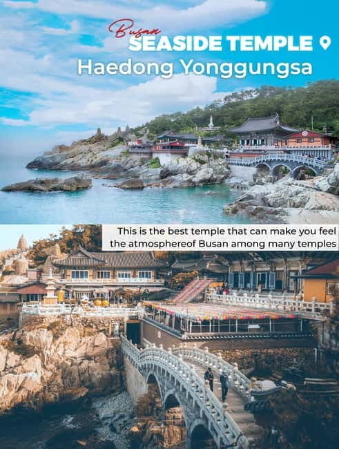 Busan: Full-Day Tour Unmissable things to do in Busan - Exploring Busan: A Full-Day Tour of Culture, Nature, and Art