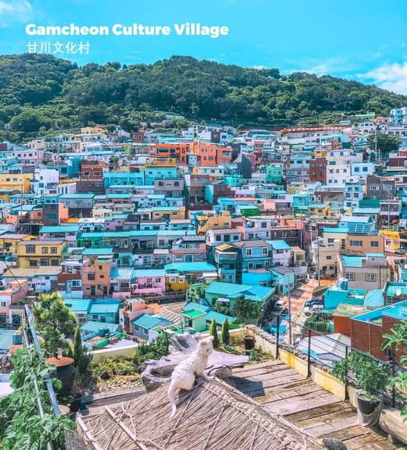 Busan: Full-Day Tour Unmissable things to do in Busan - Practical Details and Value