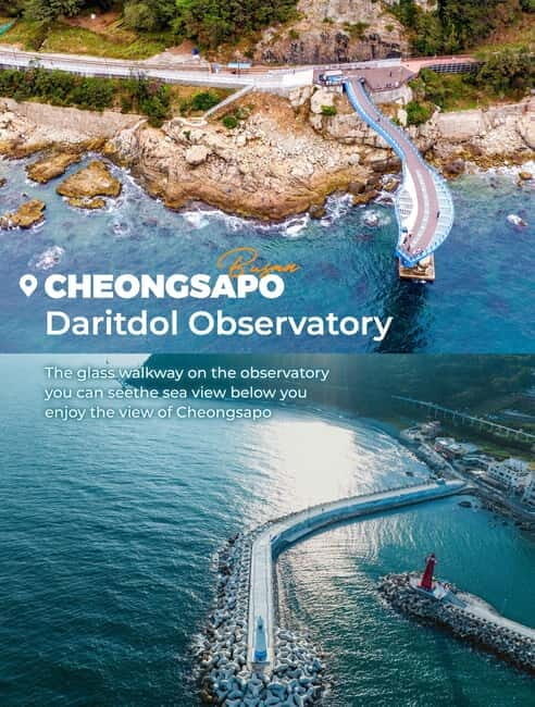 Busan: Full-Day Tour Unmissable things to do in Busan - The Sum Up: Who Will Love This Tour?