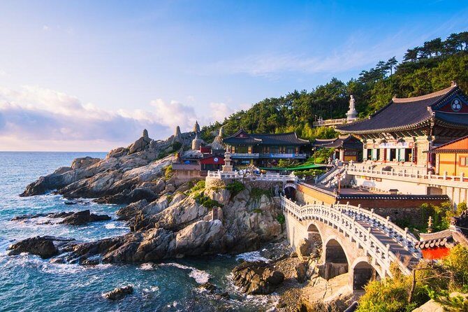 Busan: Fully Customizable Private Tour - Experience the Freedom of a Fully Customizable Busan Tour