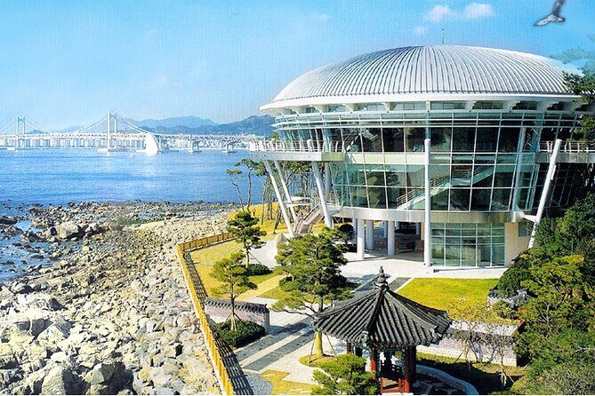 Busan: Fully Customizable Private Tour - Key Points