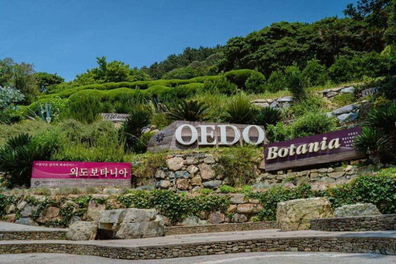 Busan: Geoje Coastal Escape, Sea Breeze& Oedo Botania Island - Discover the Coastal Charm of Geoje and Oedo Botania Island