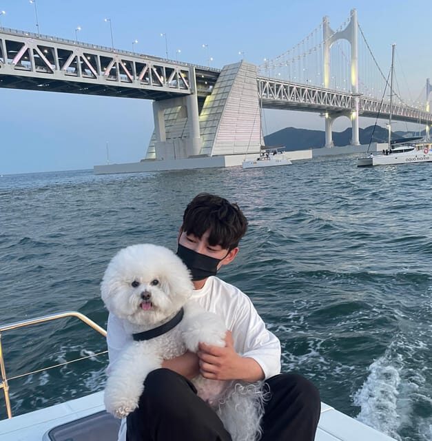 Busan: Group Sightseeing Yacht Cruise with Snacks and Drinks - Key Points