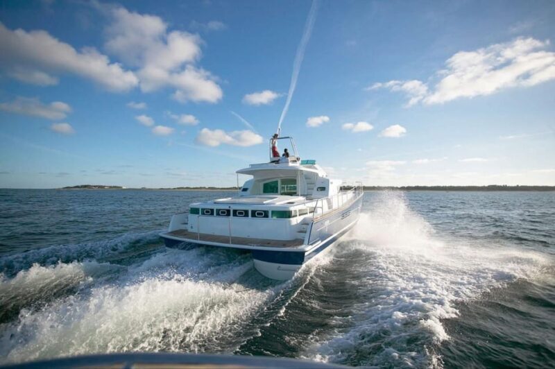 Busan: Group Sightseeing Yacht Cruise with Snacks and Drinks - Who Would Love This Tour?