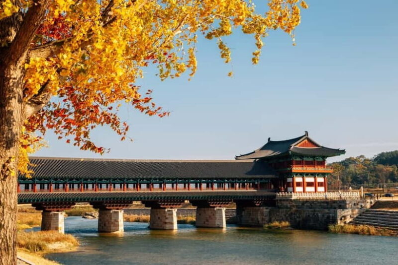 Busan: Gyeongju Autumn Foliage Day Tour with Historic Sites - The Experience on the Ground