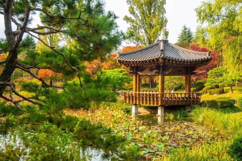 Busan: Gyeongju Autumn Foliage Day Tour with Historic Sites - Weather and Foliage Considerations