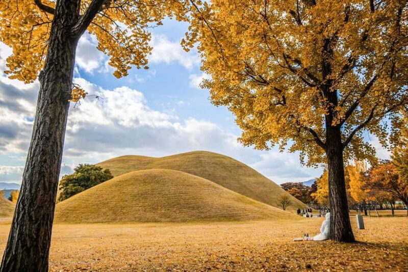 Busan: Gyeongju Autumn Foliage Day Tour with Historic Sites - Who Would Enjoy This Tour?