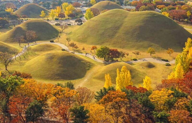 Busan: Gyeongju Autumn Foliage Day Tour with Historic Sites - Final Thoughts