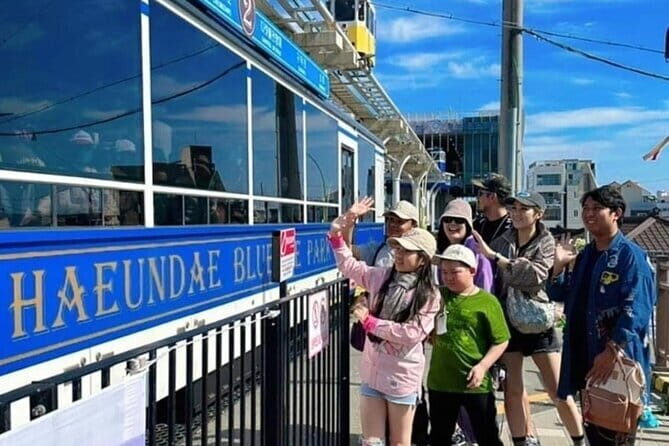 Busan Gyeongju Customizable Private Taxi or Van Tour (up to 8pax) - Key Points