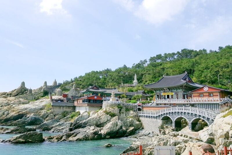 Busan: Haedong Yonggungsa Temple, Camellias Island & More - Key Points