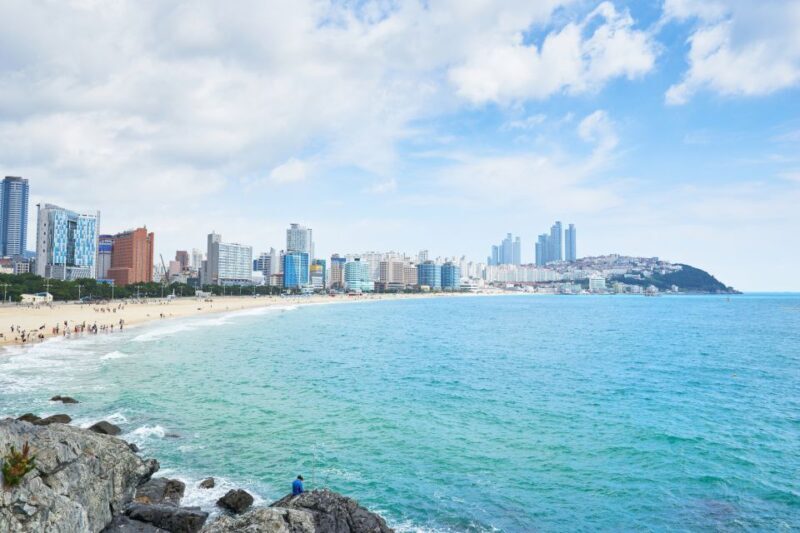 Busan: Haedong Yonggungsa Temple, Camellias Island & More - What the Reviews Tell Us