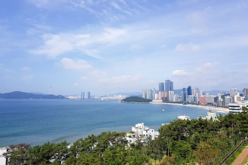 Busan: Haedong Yonggungsa Temple, Camellias Island & More - Final Thoughts
