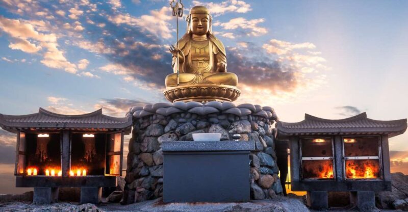 Busan: Haedong Yonggungsa Temple, Camellias Island & More - Final Words