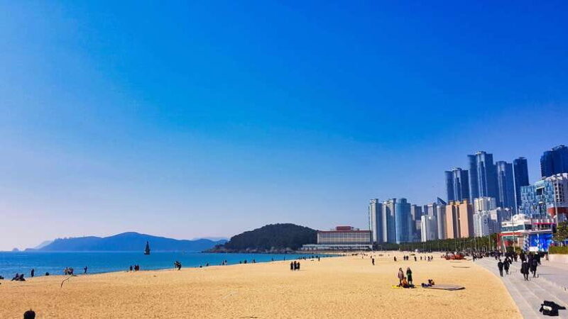 Busan: Haeundae 100-Minute Walking Tour - Key Points