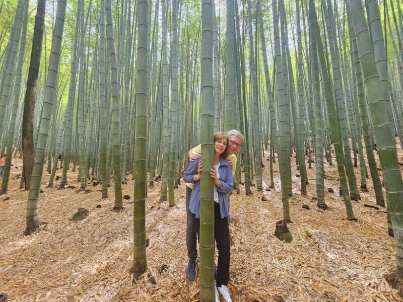 Busan Hidden Gems Private Tour with a Certified Guide - Key Points